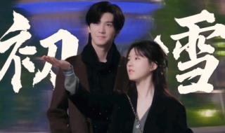 偷偷藏不住第十七集