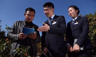 金山金融是什么平台 金山金融是什么平台