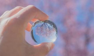 ins治愈系背景图