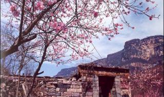 新乡旅行社 新乡旅行社