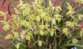 三个人三天用三桶水