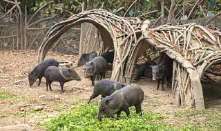 厄瓜多尔是哪个国家 厄瓜多尔是哪个国家