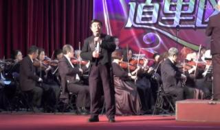 我像雪花天上来 我像雪花天上来