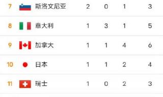 中国冬季奥运会奖牌榜